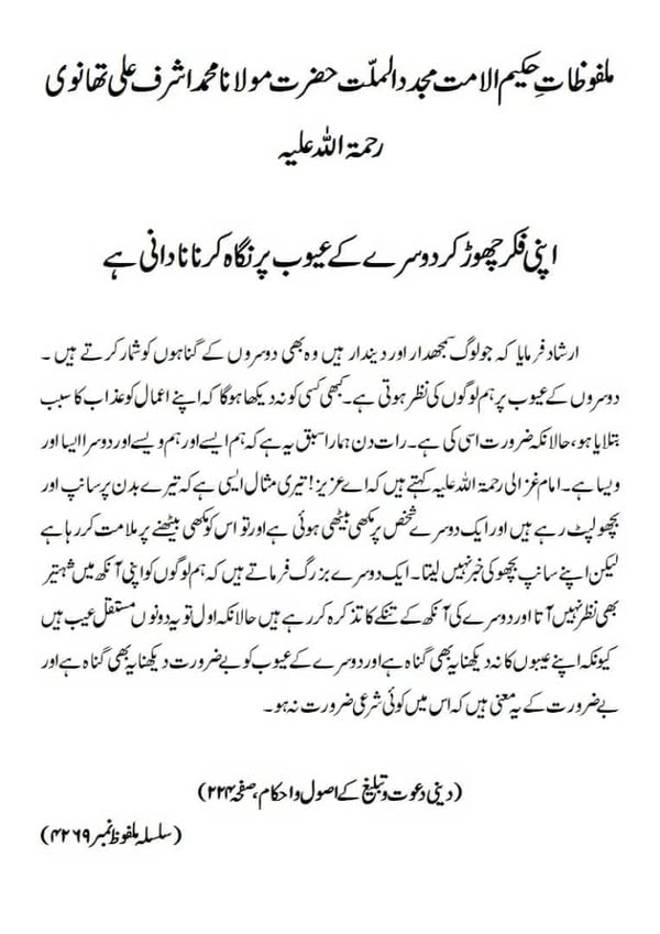 اپنی فکر چھوڑ کر دوسرے کے عیوب پر نگاہ کرنا نادانی ہے اپنی فکر چھوڑ کر دوسرے کے عیوب پر نگاہ کرنا نادانی ہے