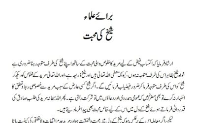 شیخ کی محبت