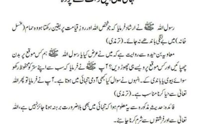 تنہائی میں اپنی ذات سے پردہ