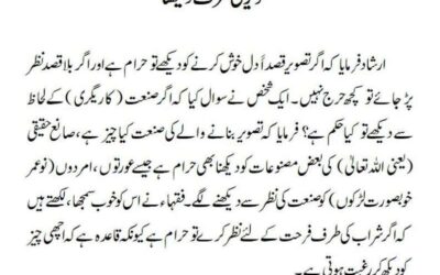 تصویر کی طرف دیکھنا