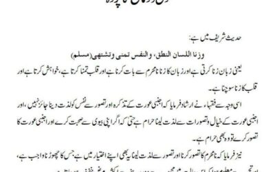 دل و دماغ کا پردہ